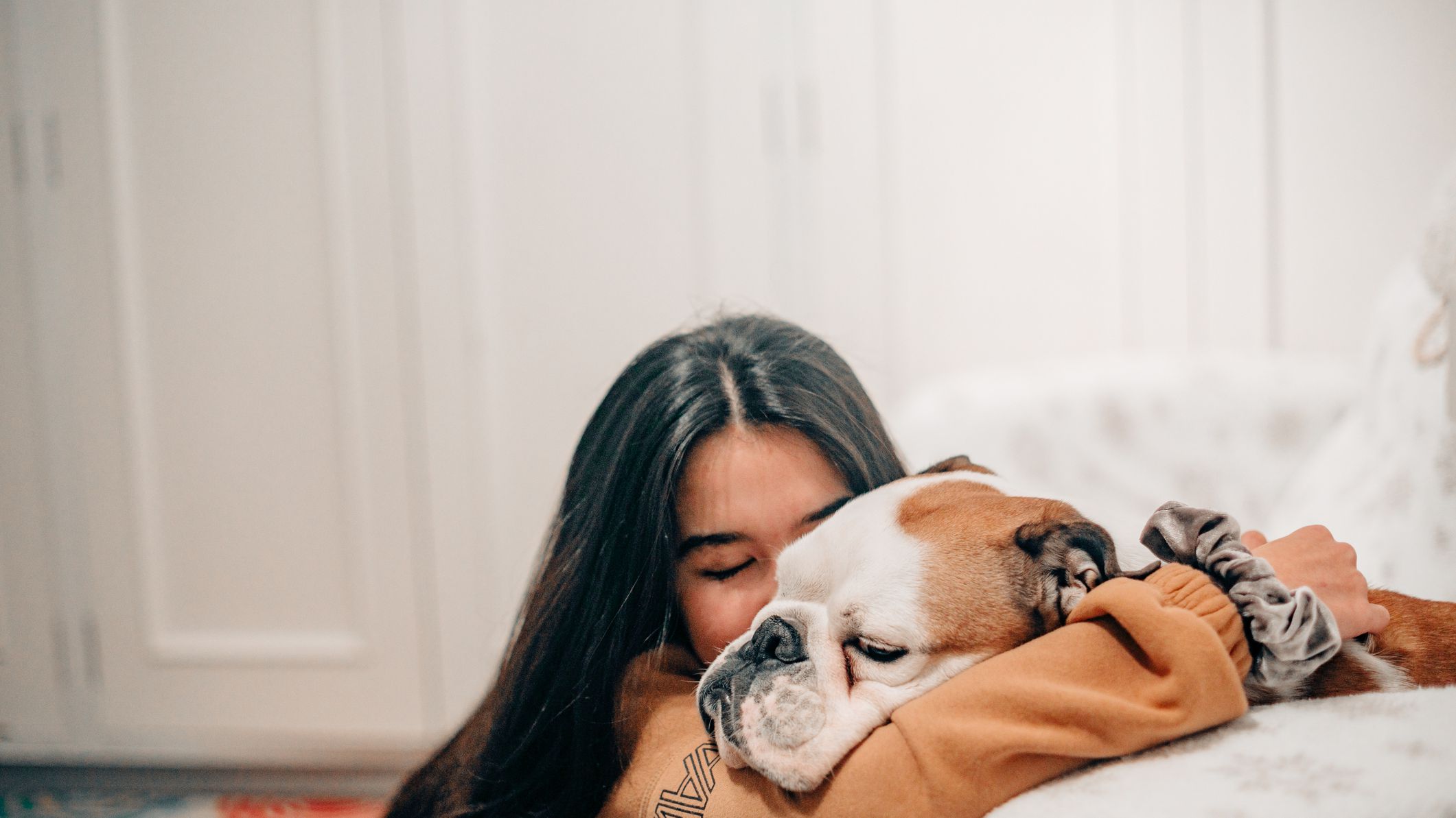 16 Best Movies About Dogs